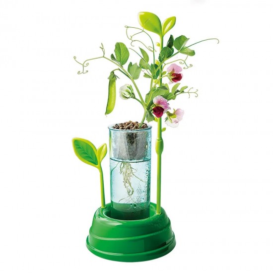 As Μαθαίνω Και Δημιουργώ Lab Εκπαιδευτικό Παιχνίδι Ο Κήπος Μου Για 8 Χρονών και άνω (1026-63408) As Μαθαίνω Και Δημιουργώ Lab Εκπαιδευτικό Παιχνίδι Ο Κήπος Μου Για 8 Χρονών και άνω (1026-63408)