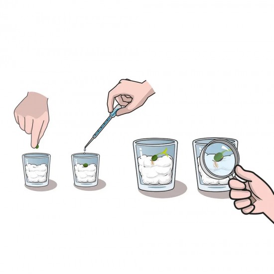 As Μαθαίνω Και Δημιουργώ Lab Εκπαιδευτικό Παιχνίδι Ο Κήπος Μου Για 8 Χρονών και άνω (1026-63408) As Μαθαίνω Και Δημιουργώ Lab Εκπαιδευτικό Παιχνίδι Ο Κήπος Μου Για 8 Χρονών και άνω (1026-63408)