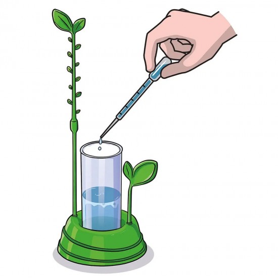 As Μαθαίνω Και Δημιουργώ Lab Εκπαιδευτικό Παιχνίδι Ο Κήπος Μου Για 8 Χρονών και άνω (1026-63408) As Μαθαίνω Και Δημιουργώ Lab Εκπαιδευτικό Παιχνίδι Ο Κήπος Μου Για 8 Χρονών και άνω (1026-63408)