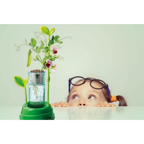 As Μαθαίνω Και Δημιουργώ Lab Εκπαιδευτικό Παιχνίδι Ο Κήπος Μου Για 8 Χρονών και άνω (1026-63408) As Μαθαίνω Και Δημιουργώ Lab Εκπαιδευτικό Παιχνίδι Ο Κήπος Μου Για 8 Χρονών και άνω (1026-63408)