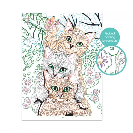 As Paint & Frame Ζωγραφίζω Με Αριθμούς Funny Kitties Για Ηλικίες 9+ Χρονών (1038-41010)