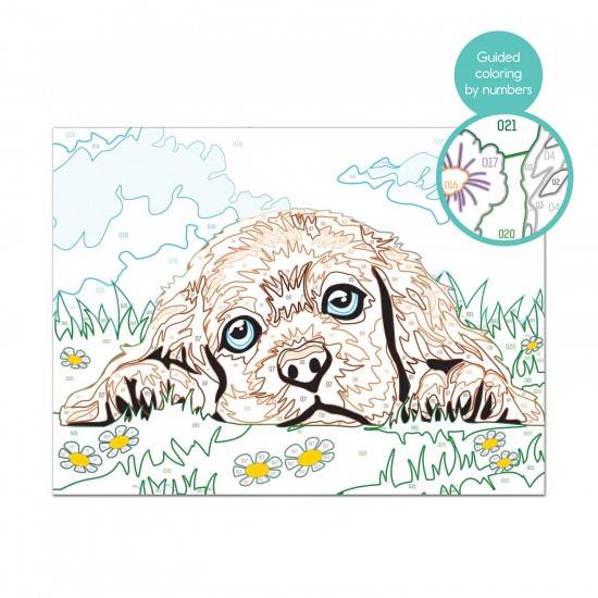 As Paint & Frame Ζωγραφίζω Με Αριθμούς Loving Puppy Για Ηλικίες 9+ Χρονών (1038-41012)