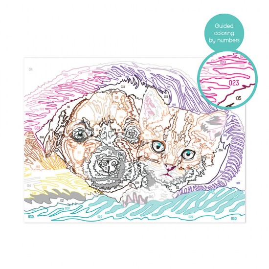 As Paint & Frame Ζωγραφίζω Με Αριθμούς Sweet Friendship Για Ηλικίες 9 Χρονών και άνω (1038-41020)