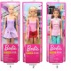 BARBIE ΕΠΑΓΓΕΛΜΑΤΑ(FWK89)