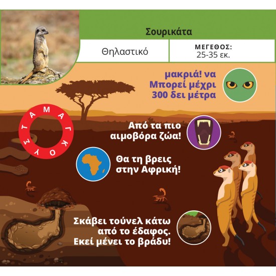 Δεσύλλας Τα Ξεφτέρια: Ζώα & Φυτά (100784)