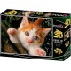 Puzzle Πορτοκαλί Γάτα (10173)