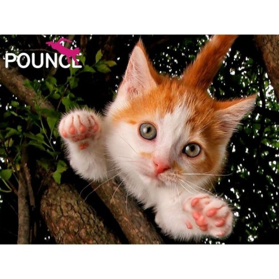 Puzzle Πορτοκαλί Γάτα (10173)