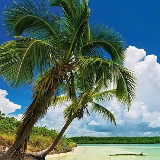 Puzzle Παραδεισένιοι Φοίνικες (29860)