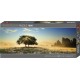 Puzzle Humboldt  Play of Light (29901)