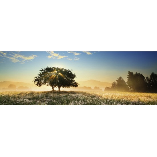 Puzzle Humboldt  Play of Light (29901)