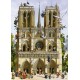 Puzzle Loup Vive Notre Dame (29905)