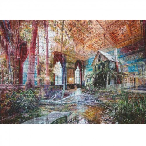 Puzzle In/Outside Intruding House (30019)