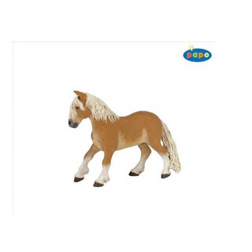 PAPO ΠΟΝΥ HAFLINGER (51118)