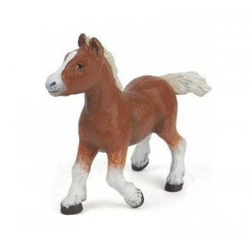 PAPO ΦΟΡΑΔΑ BAY SHETLAND (51520)