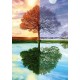 Puzzle The Seasons Tree (58223)