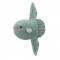 WILD PLANET  Sunfish 40cm (K7489)