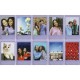 Fujifilm instax mini Film soft lavender (16812376)