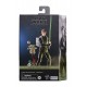 Hasbro Fans Disney Star Wars The Black Series: The Book of Boba Fett - Luke Skywalker & Grogu Action Figure (15cm) (Excl.) (F7008)