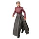 Hasbro Fans Disney Star Wars The Black Series: Αhsoka - Morgan Elsbeth Action Figure (F7036)