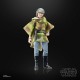 Hasbro Fans Disney: Star Wars The Black Series: Return of The Jedi 40th Anniversary - Princess Leia (Endor) (F7051) Hasbro Fans Disney: Star Wars The Black Series: Return of The Jedi 40th Anniversary - Princess Leia (Endor) (F7051)