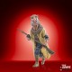 Hasbro Fans Disney Star Wars Return of the Jedi: The Vintage Collection - Saelt-Marae Action Figure (10cm) (F7336)