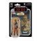 Hasbro Fans Vintage Collection: Disney Star Wars Return of the Jedi - Kithaba (Skiff Guard) Action Figure (10cm) (F7338)