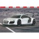 Jamara Audi R8 LMS 1:24 silver 2,4Ghz (404435)