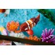LEGO Icons Tropical Aquarium (10366) LEGO Icons Tropical Aquarium (10366)