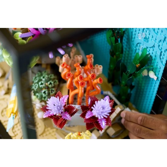 LEGO Icons Tropical Aquarium (10366) LEGO Icons Tropical Aquarium (10366)