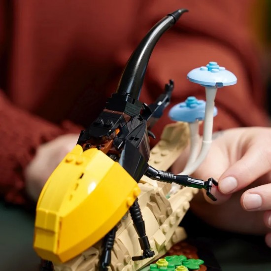 LEGO Ideas The Insect Collection (21342) LEGO Ideas The Insect Collection (21342)