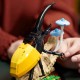 LEGO Ideas The Insect Collection (21342) LEGO Ideas The Insect Collection (21342)
