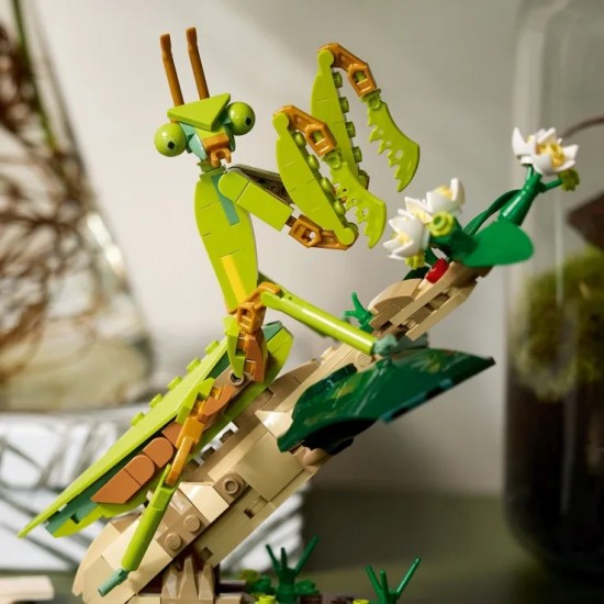 LEGO Ideas The Insect Collection (21342) LEGO Ideas The Insect Collection (21342)