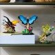 LEGO Ideas The Insect Collection (21342) LEGO Ideas The Insect Collection (21342)