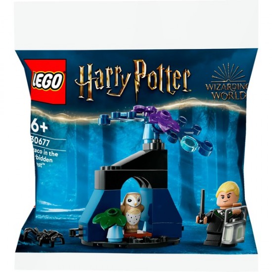 LEGO Harry Potter Draco in the Forbidden Forest (30677)