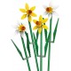 LEGO Daffodils (40747)