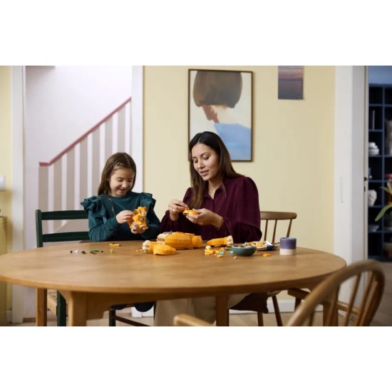 LEGO Disney Young Simba The Lion King (43247) LEGO Disney Young Simba The Lion King (43247)