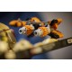 LEGO Star Wars Mos Espa Podrace Diorama (75380)