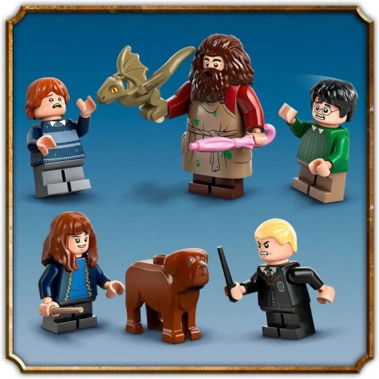 LEGO Harry Potter Hagrid's Hut: An Unexpected Visit (76428)