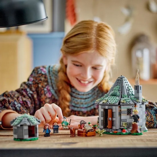 LEGO Harry Potter Hagrid's Hut: An Unexpected Visit (76428)