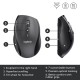 Logitech Wireless Mouse M705, mouse (910-006034)
