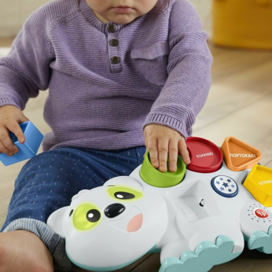 Fisher-Price Linkimals: Αρκουδίτσα, η Σχηματούλα (HJR81)