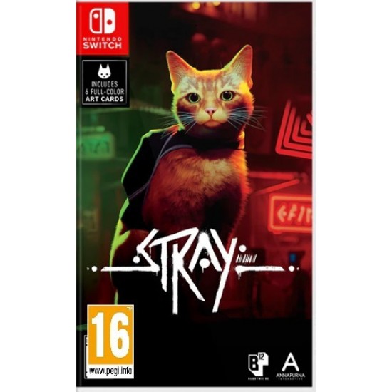 NSW Stray(103887)