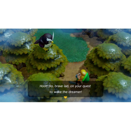 The Legend of Zelda: Link's Awakening Switch Game