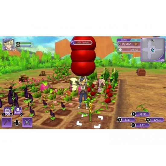 NSW Rune Factory 5(075737)