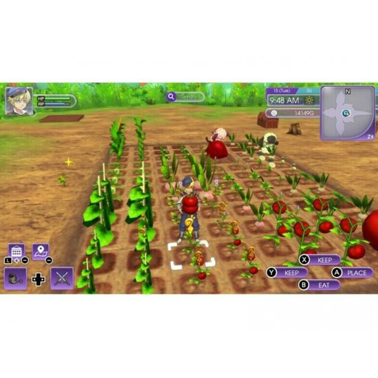 NSW Rune Factory 5(075737)