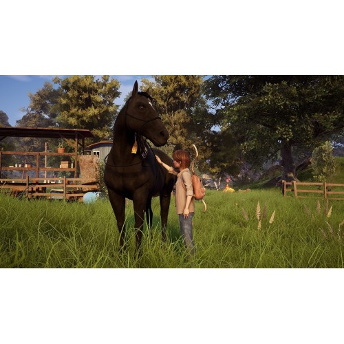 Windstorm: An Unexpected Arrival - Nintendo Switch