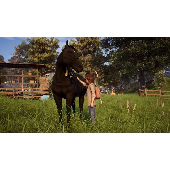 Windstorm: An Unexpected Arrival - Nintendo Switch