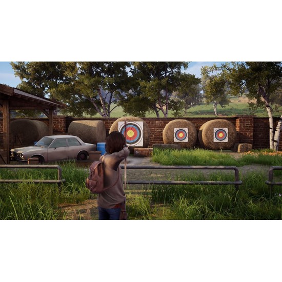 Windstorm: An Unexpected Arrival - Nintendo Switch