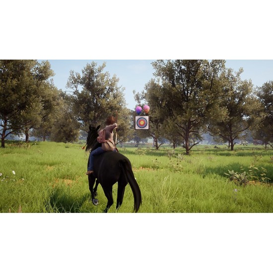 Windstorm: An Unexpected Arrival - Nintendo Switch