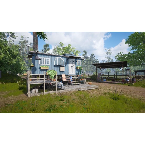 Windstorm: An Unexpected Arrival - Nintendo Switch